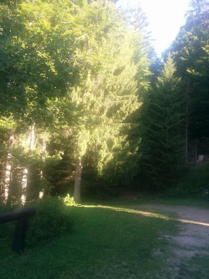 Abetina Lejlighed Levico Terme Eksteriør billede